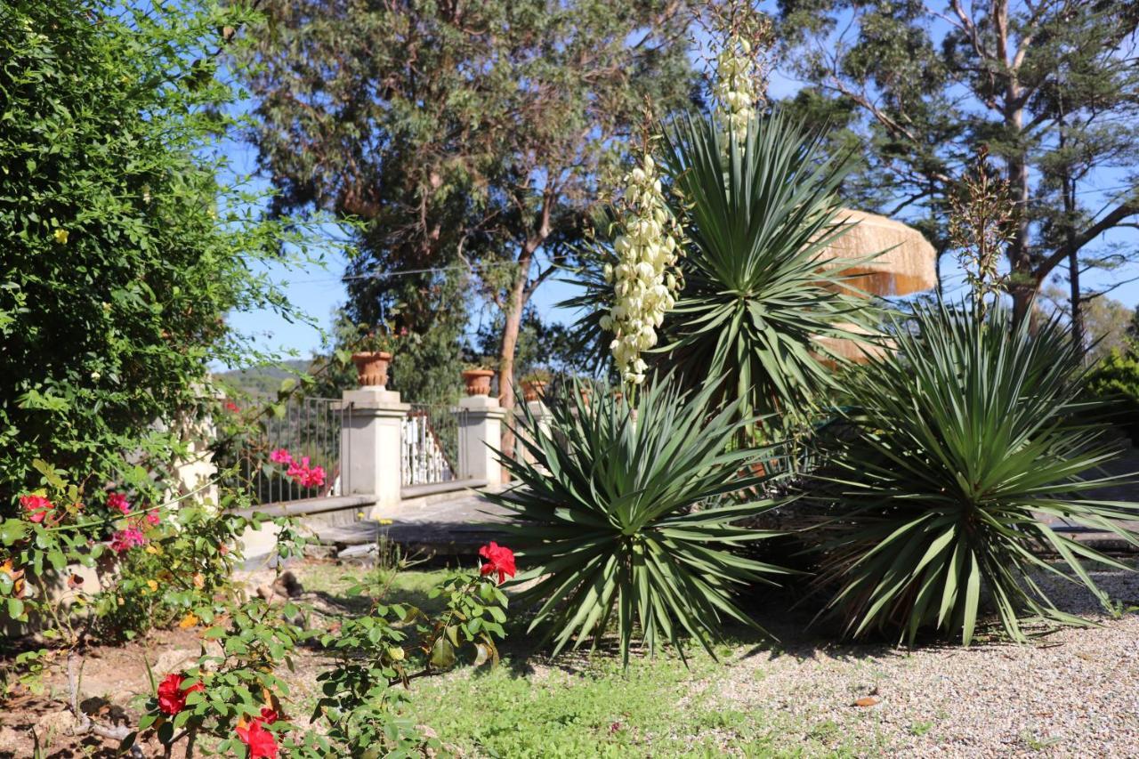 Villa Teresa Porto Azzurro Eksteriør bilde
