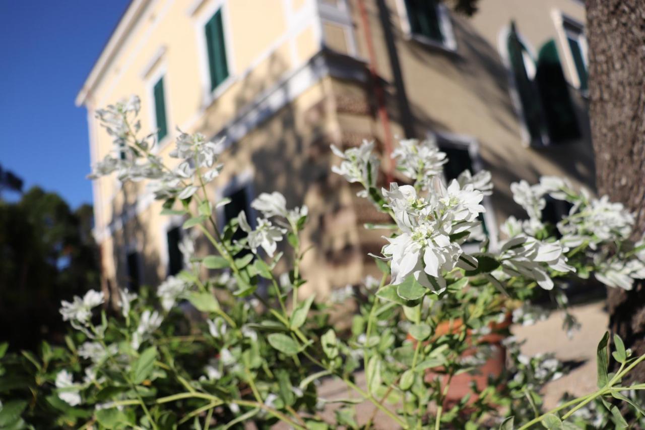 Villa Teresa Porto Azzurro Eksteriør bilde