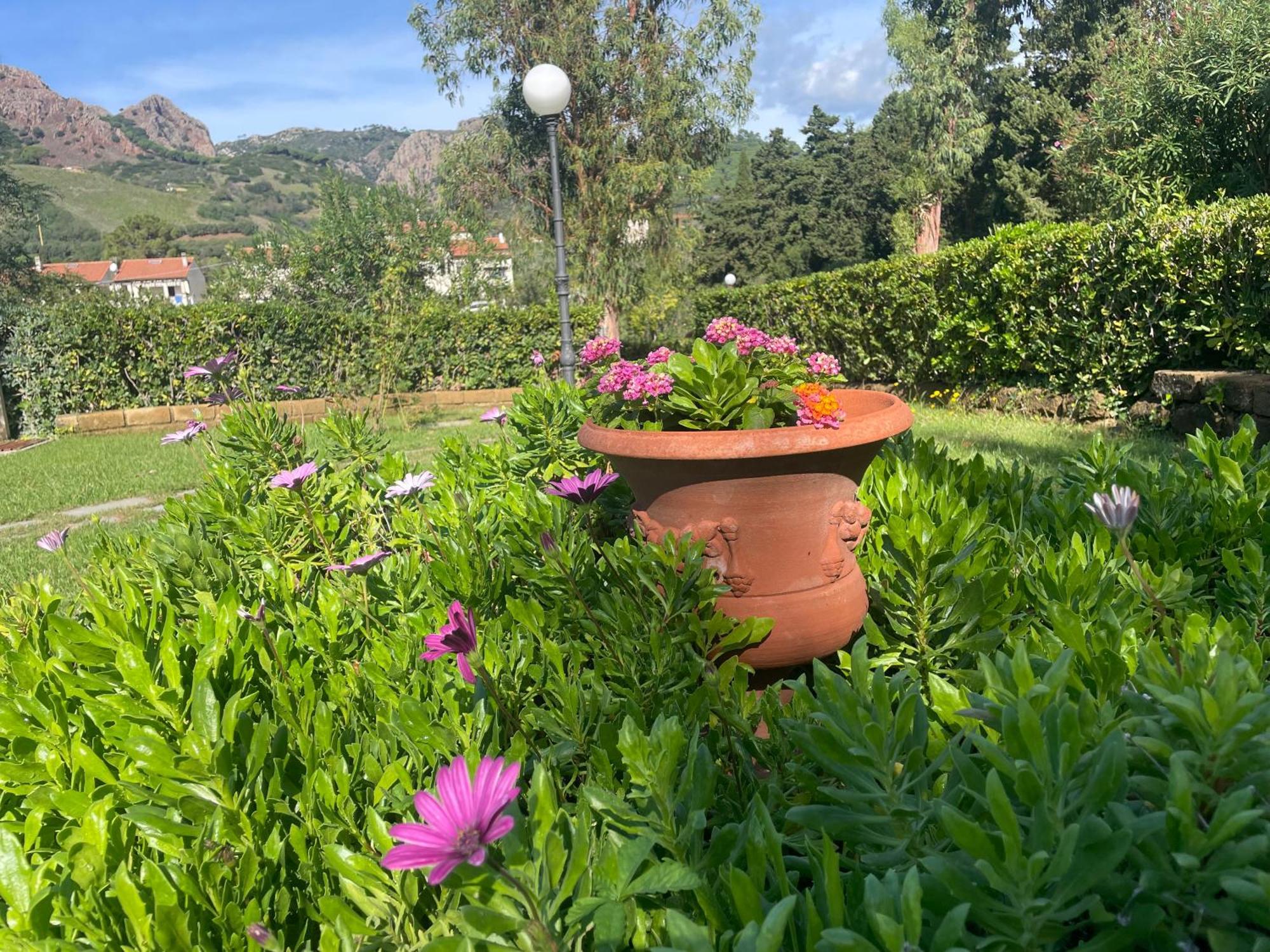 Villa Teresa Porto Azzurro Eksteriør bilde